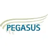 Pegasus Planning and Development Pegasus Planning and Development