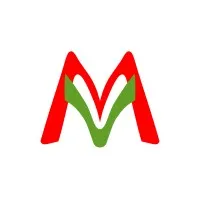 Maven Enterprise Solutions and Consulting Services LLC