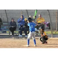 HUNTINGTON WEST LITTLE LEAGUE INC HUNTINGTON WEST LITTLE LEAGUE INC