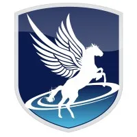 Borak Solutions LLC Borak Solutions LLC