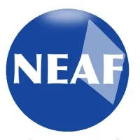 NEAF Concursos Públicos