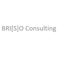 BRIZO Consulting GmbH