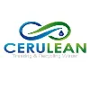 Cerulean Enviro Tech Pvt. Ltd.