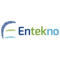 Entekno Global