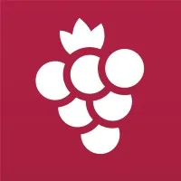 Vineyard