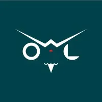 The Brand Owl Studio