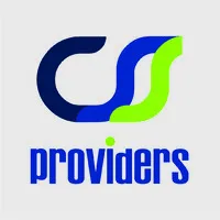 CSS Providers
