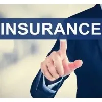 Independent Insurance Consultant Independent Insurance Consultant