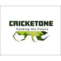 Cricket One Cricket One