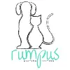 Rumpus Writing and Editing
