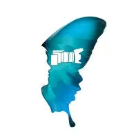 Butterflies in Brain Productions