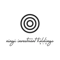 Ningi Investment Holdings