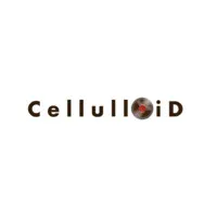 Planet Cellulloid Pvt Ltd