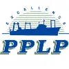 PHOENIX PROCESSOR LIMITED PARTNERSHIP