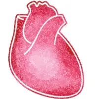 LANSING CARDIOVASCULAR CONSULTANTS PC