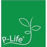 P-LIFE INTERNATIONAL