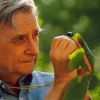 E.O. Wilson Biodiversity Foundation