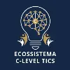 C-LEVEL TICS BRASIL C-LEVEL TICS BRASIL