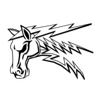 Thunderhorse Automation