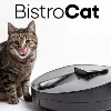 BistroCat BistroCat