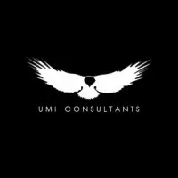 UMI Consultants