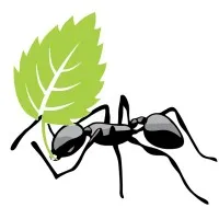Worker Ants Media