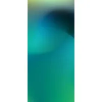 Visor Selangor, Malaysia