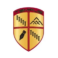 Tempus Business Strategists, LLC