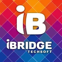 iBridge Techsoft 