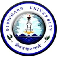 Dibrugarh University Institute of Engineering and Technology