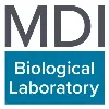 MDI Biological Laboratory