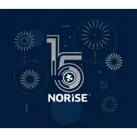 NORISE Successful Business Solutions