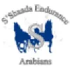 S'Shaada Endurance Arabians S'Shaada Endurance Arabians