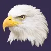 Freedom Wealth Management Freedom Wealth Management