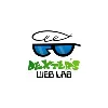 Dexters Web Lab Dexters Web Lab