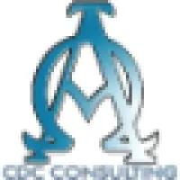 CDC Consulting CDC Consulting
