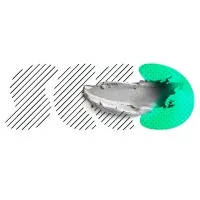 Seed Studio LLP