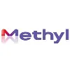 Methyl Group Methyl Group
