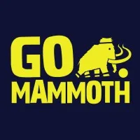 Go Mammoth® verified emails