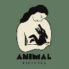Animal Pictures Animal Pictures