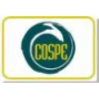 Cooperazione per lo Sviluppo Dei Paesi Emergenti (COSPE)