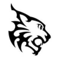 Bizhiw Information Technologies, LLC