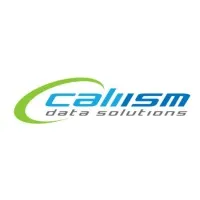 Caliism Data Solutions