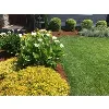 Neighborhood Lawn Care