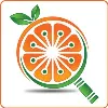 OrangeSlices OrangeSlices