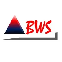 BWS Consulting - Accounting & Tax Consultant