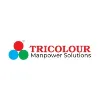Tricolour Manpower Solutions (TCM Solutions) Tricolour Manpower Solutions (TCM Solutions)