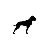 GP Bullhound