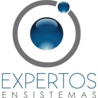 Expertos en Sistemas
