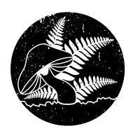 Forage & Fern
